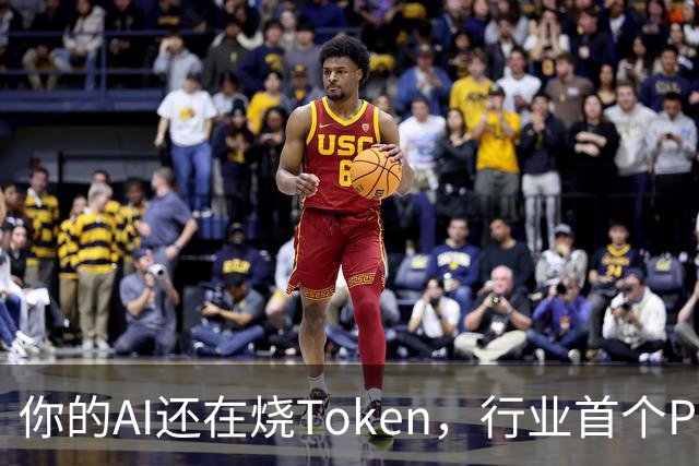 你的AI还在烧Token，行业首个Pro Agent已经开始赚钱了
